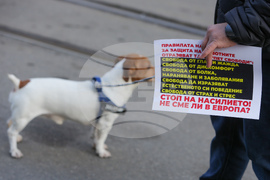 Протест срещу насилието над животни