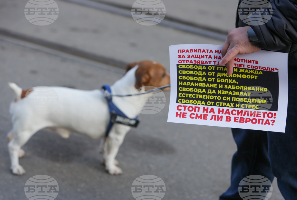 Протест срещу насилието над животни