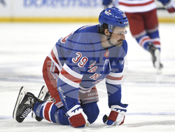 Ducks Rangers Hockey