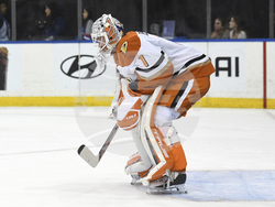 Ducks Rangers Hockey