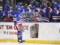 Ducks Rangers Hockey