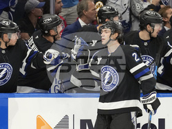 Capitals Lightning Hockey