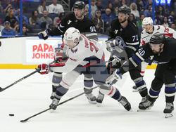 Capitals Lightning Hockey