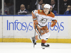 Ducks Rangers Hockey