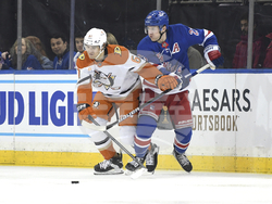 Ducks Rangers Hockey