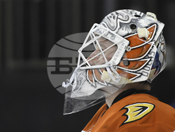 Ducks Rangers Hockey