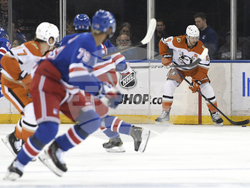 Ducks Rangers Hockey