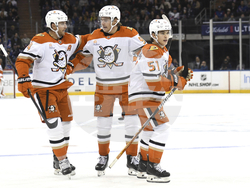 Ducks Rangers Hockey