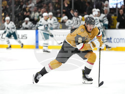 Sharks Golden Knights Hockey