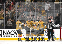 Sharks Golden Knights Hockey