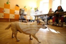 Банкя - Парламентарни избори - гласуване