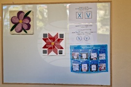 Разград - избори - гласуване