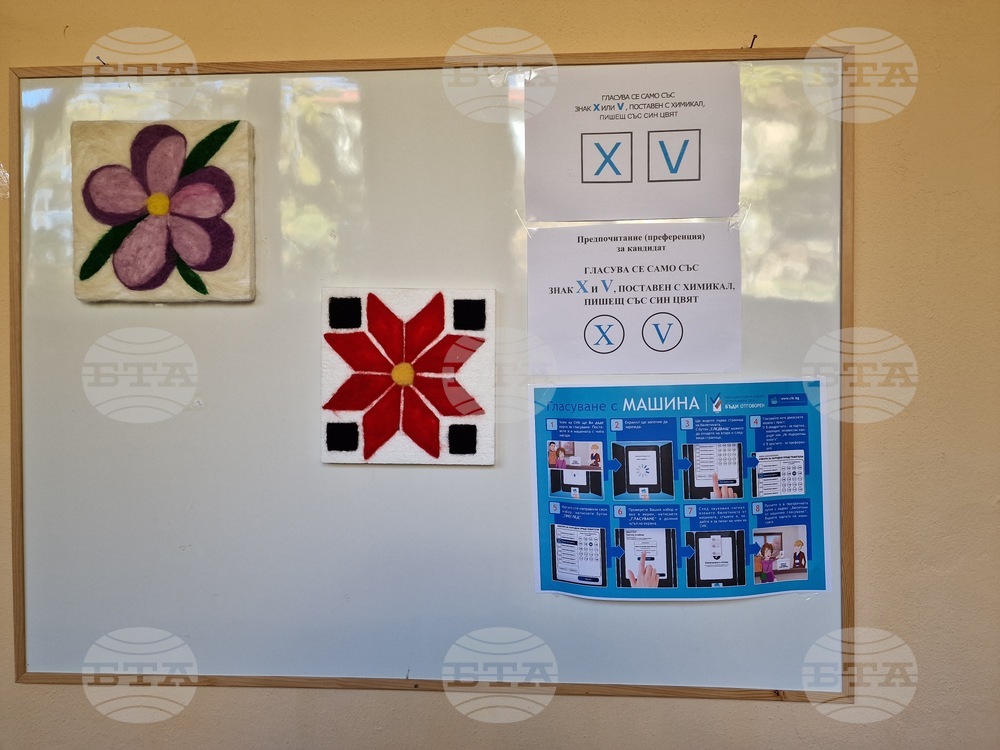 Разград - избори - гласуване