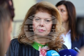 Парламентарни избори - Илияна Йотова - гласуване