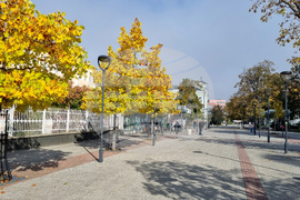 Търговище - есен