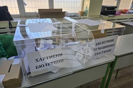 Плевен - парламентарни избори