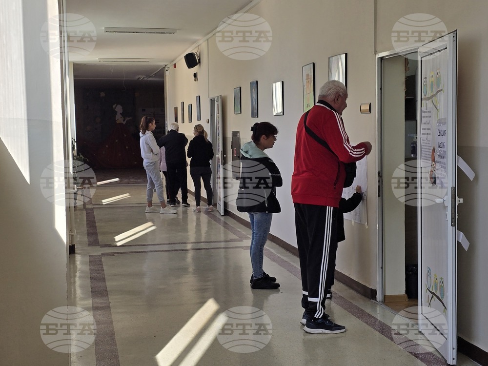 Избирателната активност в област Добрич към 16:00 часа е 24,15 процента