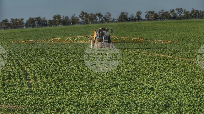 Земеделието остава жизненоважно за семействата в селските райони на Украйна, според доклад на ФАО