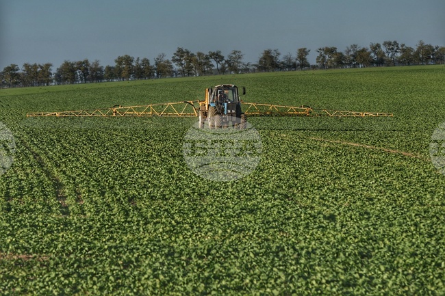 Земеделието остава жизненоважно за семействата в селските райони на Украйна, според доклад на ФАО