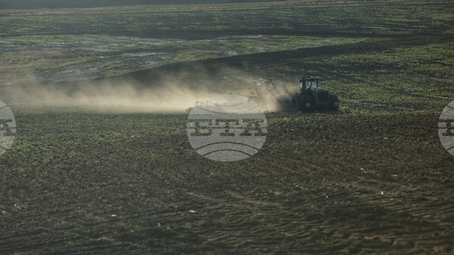 ФАО представя тригодишен план за извънредни ситуации и бързо възстановяване на украинското селско стопанство