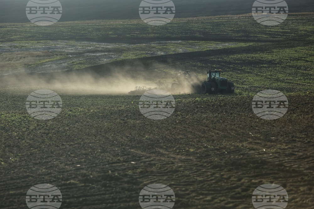 ФАО представя тригодишен план за извънредни ситуации и бързо възстановяване на украинското селско стопанство