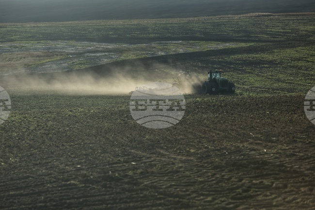 ФАО представя тригодишен план за извънредни ситуации и бързо възстановяване на украинското селско стопанство