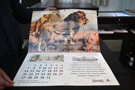 Пловдив - Регионален исторически музей - календар