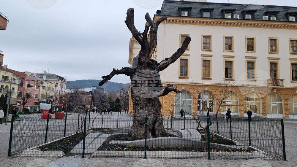 Около 80 км/ч достигат поривите на вятъра в Сливен