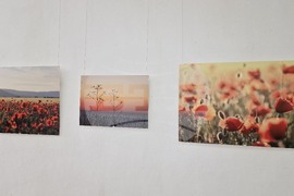 Шумен - „Уловен миг“ - съвместна изложба