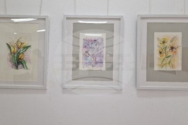 Шумен - „Уловен миг“ - съвместна изложба