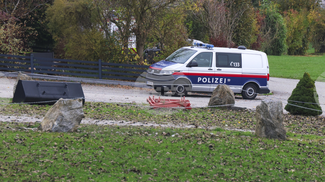 Телата на изчезнала майка и дъщеря ѝ са открити след предполагаемо двойно убийство в Австрия