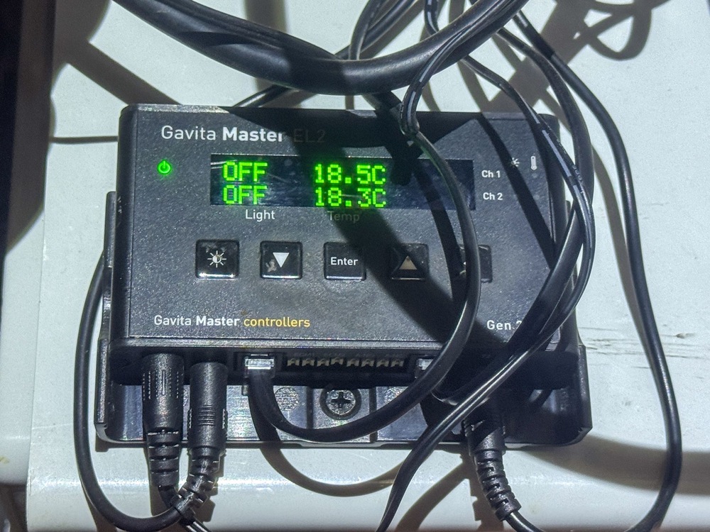 Акция - наркооранжерия