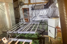 Акция - наркооранжерия