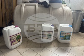 Акция - наркооранжерия