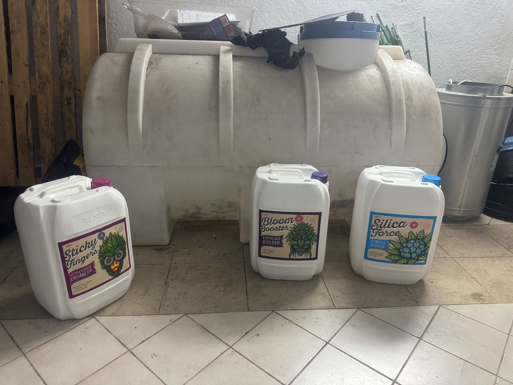 Акция - наркооранжерия