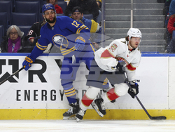 Panthers Sabres Hockey