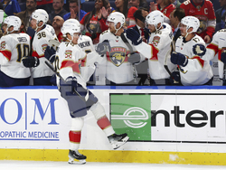 Panthers Sabres Hockey
