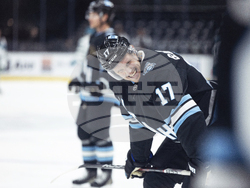 Sharks Utah Hockey