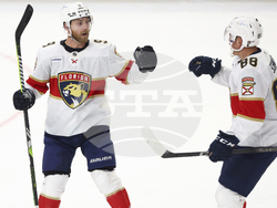 Panthers Sabres Hockey