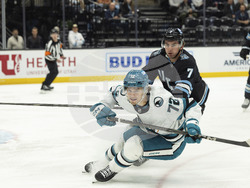 Sharks Utah Hockey