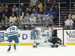 Sharks Utah Hockey