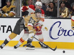 Flames Golden Knights Hockey