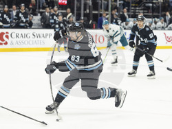 Sharks Utah Hockey