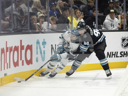 Sharks Utah Hockey