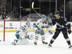 Sharks Utah Hockey