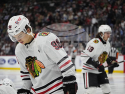 Blackhawks Avalanche Hockey