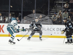 Sharks Utah Hockey