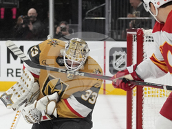 Flames Golden Knights Hockey