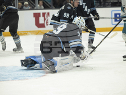 Sharks Utah Hockey