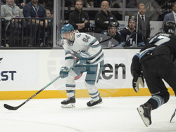 Sharks Utah Hockey